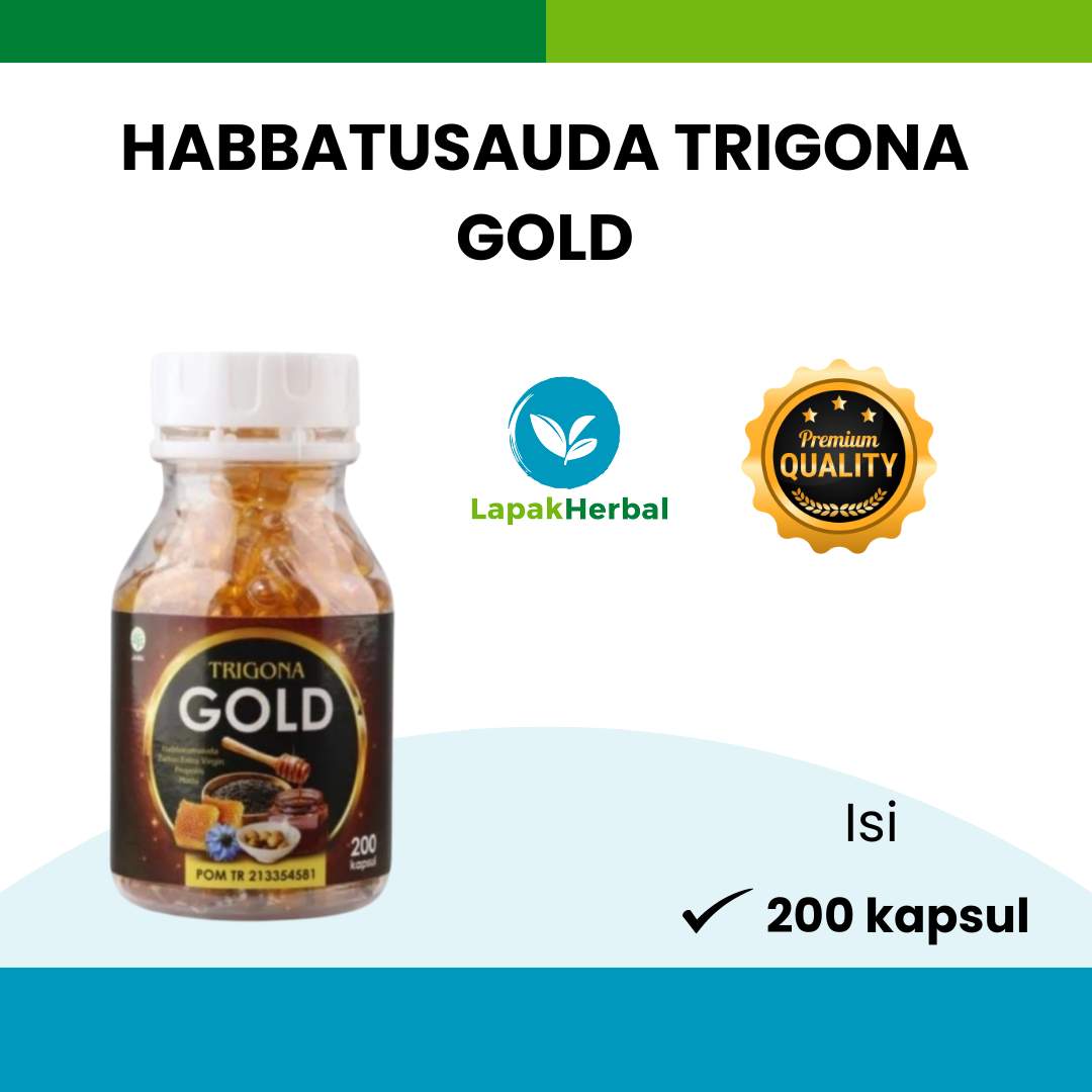 Habbatussauda Trigona Gold