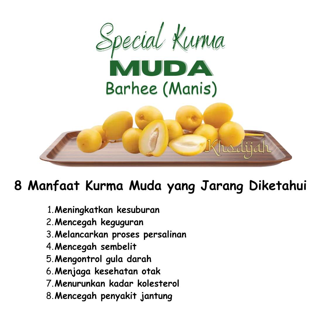 Kurma Muda