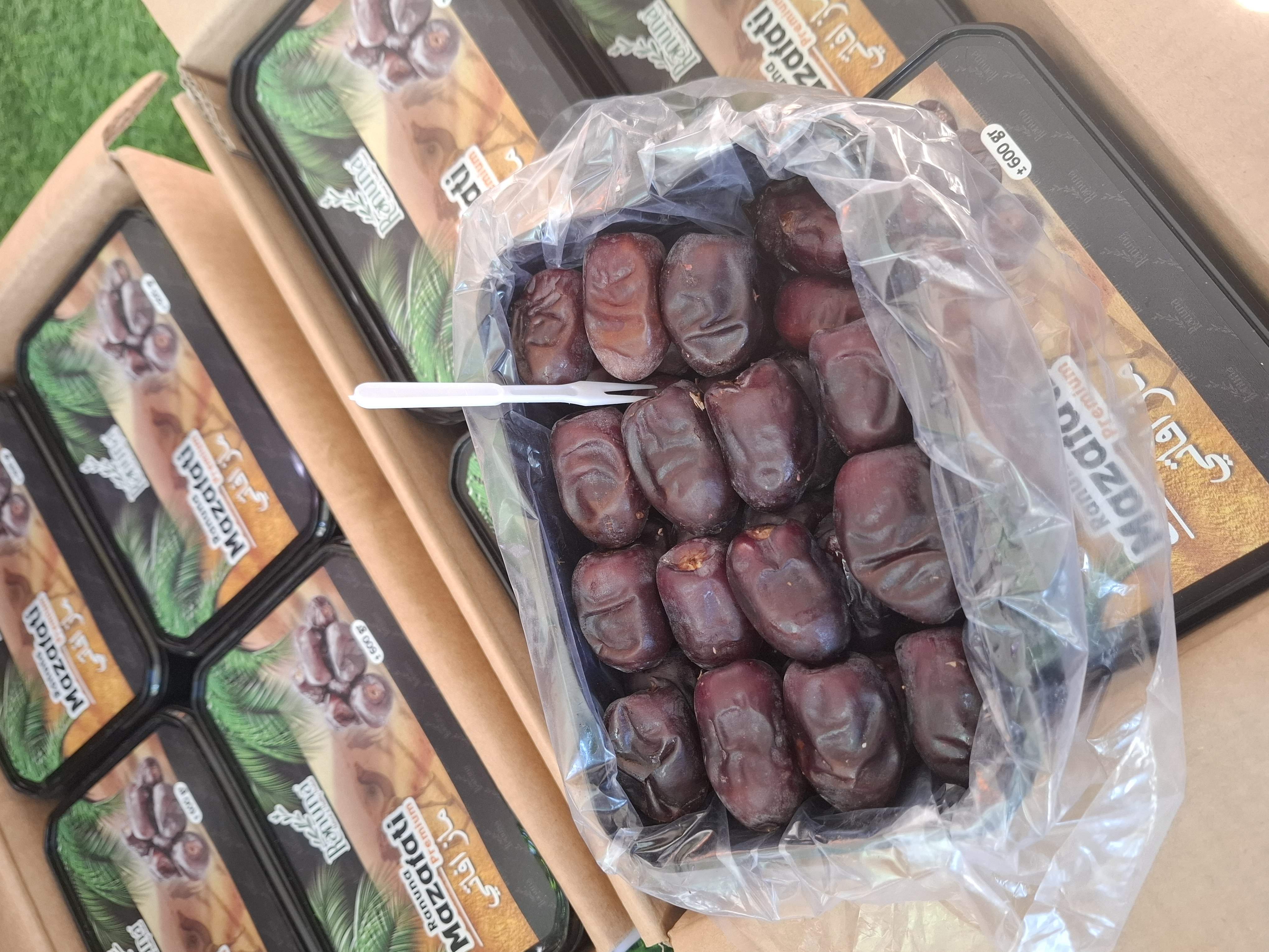 Kurma bam