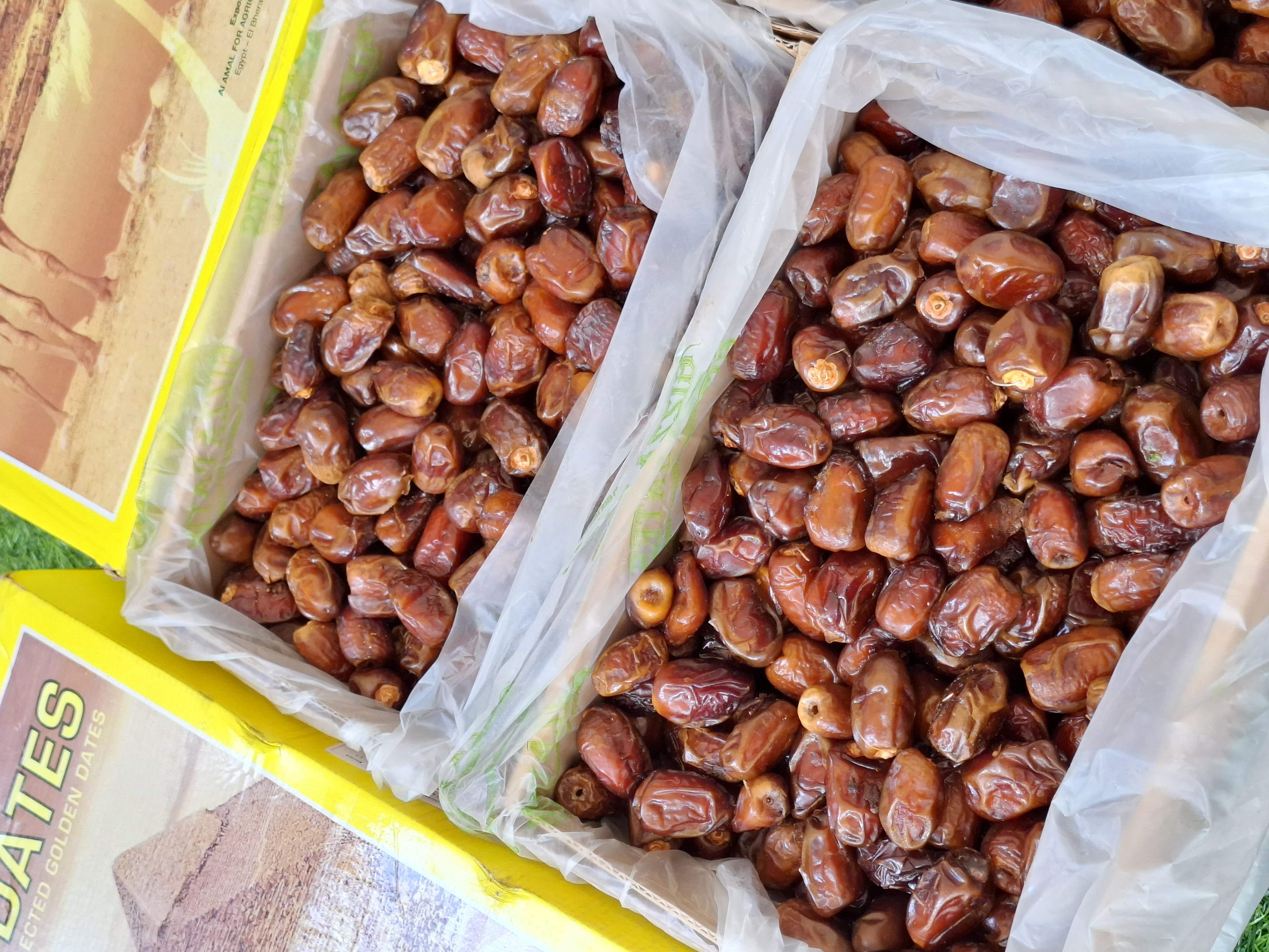 Kurma Mesir 5kg