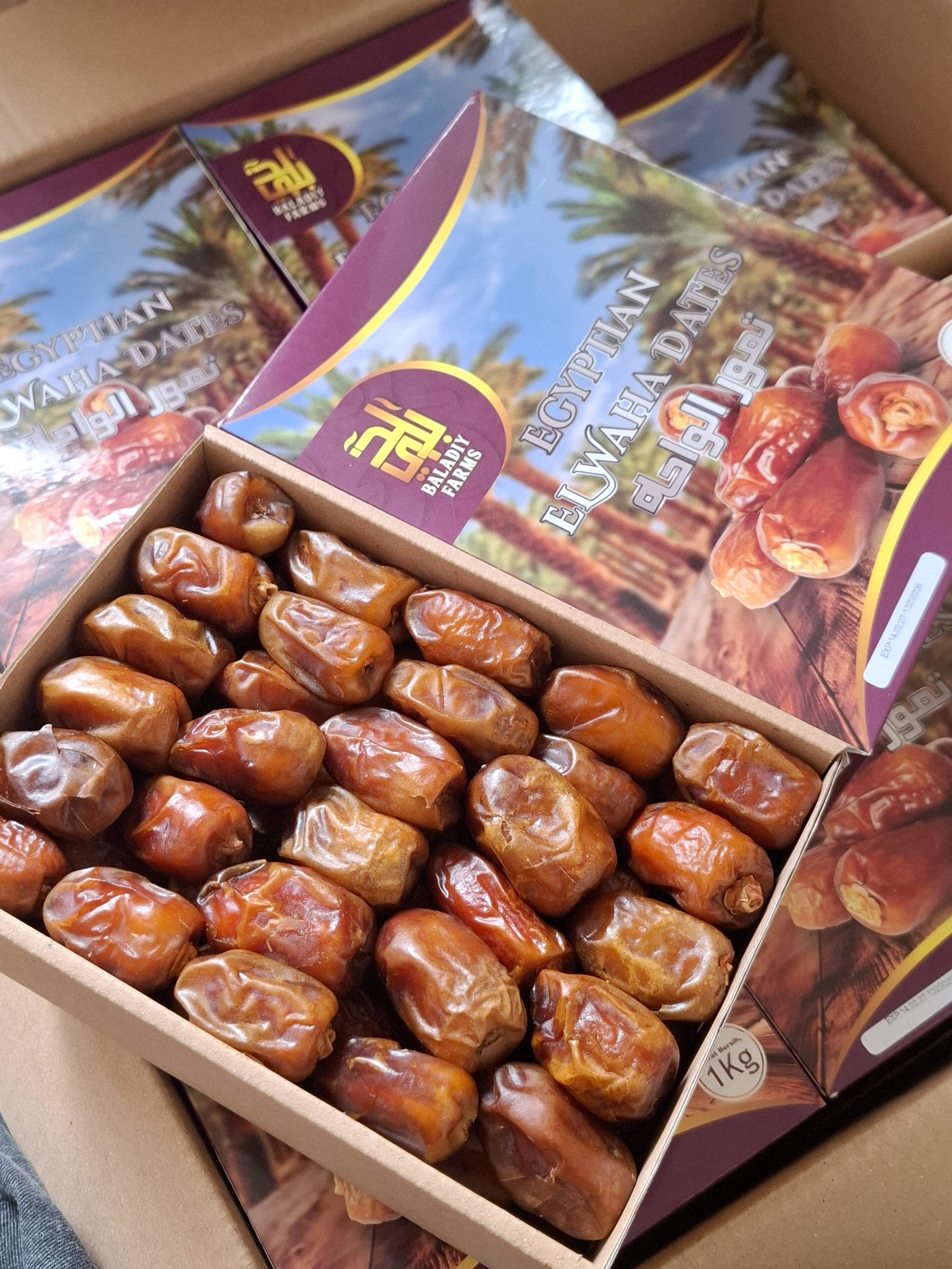 Kurma Mesir elwaha 1kg 